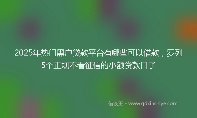 2025年热门黑户贷款平台有哪些可以借款，罗列5个正规不看征信的小额贷款口子