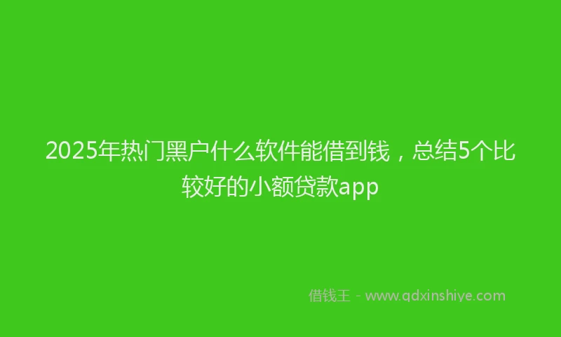 2025年热门黑户什么软件能借到钱，总结5个比较好的小额贷款app