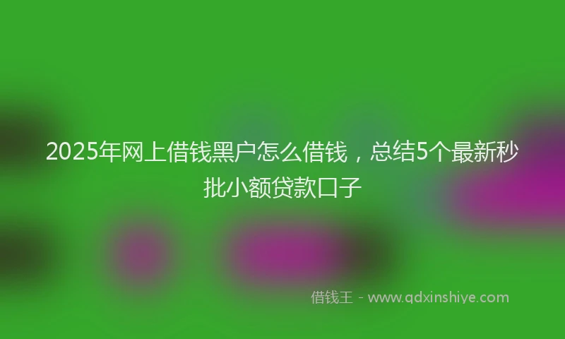 2025年网上借钱黑户怎么借钱，总结5个最新秒批小额贷款口子