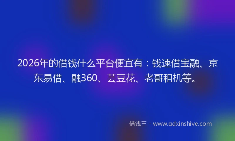 2026年的借钱什么平台便宜有：钱速借宝融、京东易借、融360、芸豆花、老哥租机等。