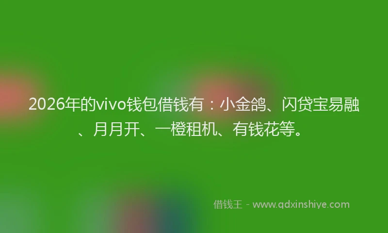 2026年的vivo钱包借钱有：小金鸽、闪贷宝易融、月月开、一橙租机、有钱花等。
