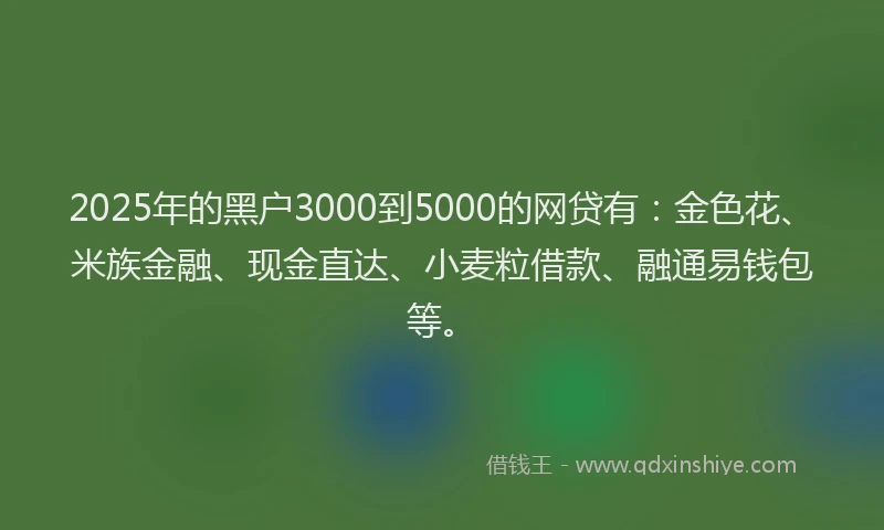 2025年的黑户3000到5000的网贷有:金色花、米族金融、现金直达、小麦粒借款、融通易钱包等。