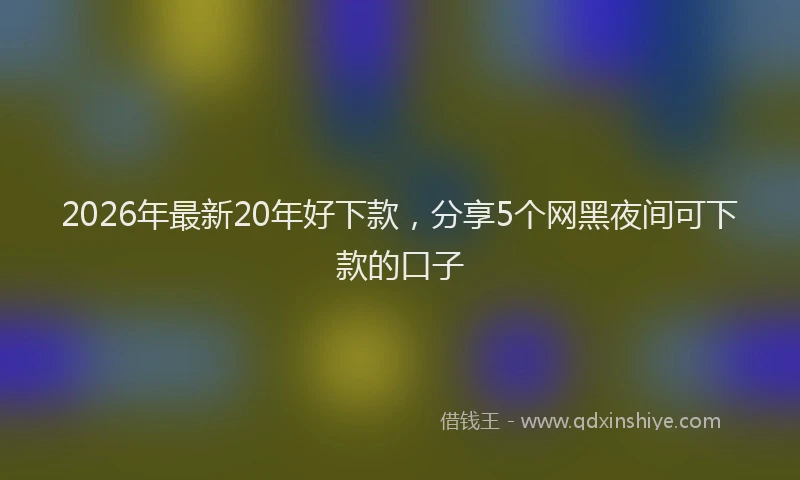 2026年最新20年好下款，分享5个网黑夜间可下款的口子