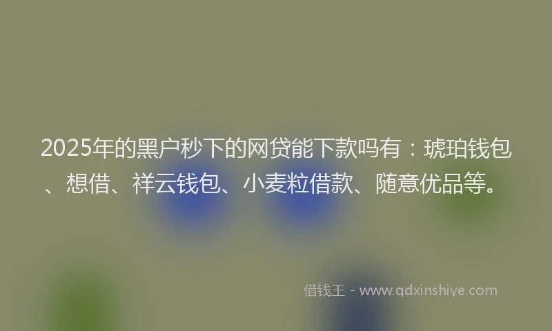 2025年的黑户秒下的网贷能下款吗有：琥珀钱包、想借、祥云钱包、小麦粒借款、随意优品等。