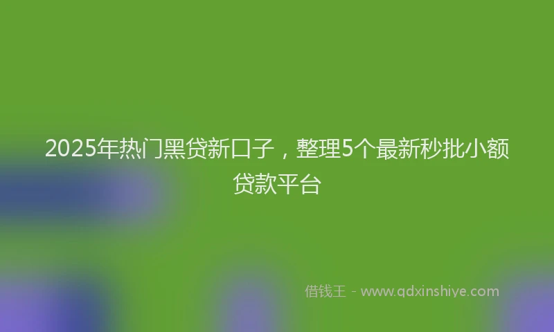 2025年热门黑贷新口子，整理5个最新秒批小额贷款平台