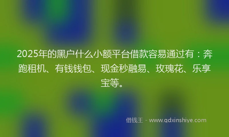 2025年的黑户什么小额平台借款容易通过有：奔跑租机、有钱钱包、现金秒融易、玫瑰花、乐享宝等。