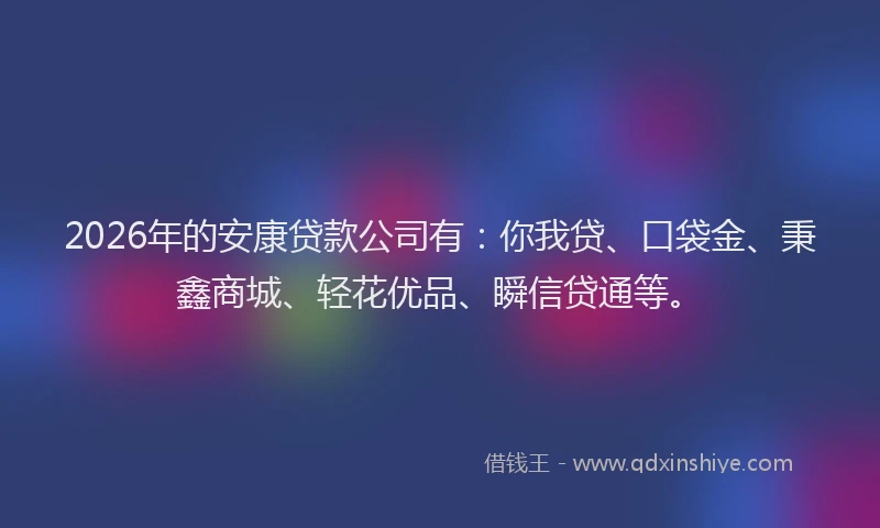 2026年的安康贷款公司有：你我贷、口袋金、秉鑫商城、轻花优品、瞬信贷通等。
