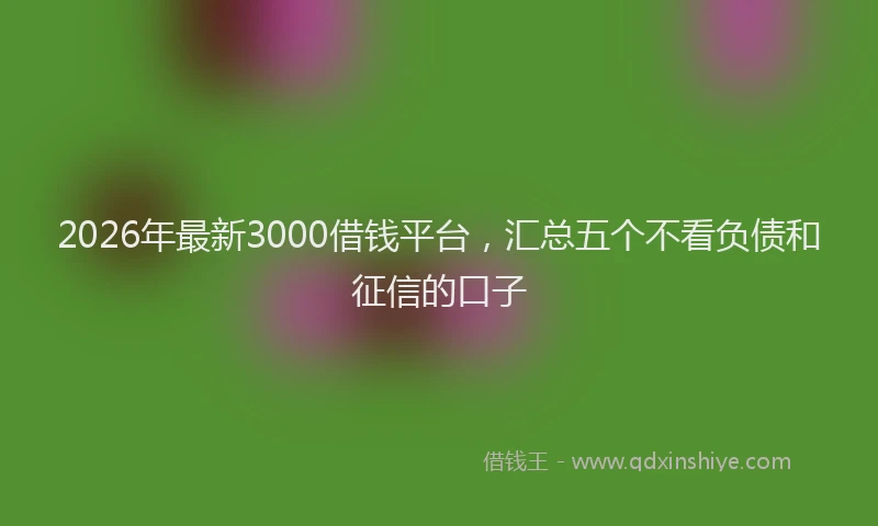 2026年最新3000借钱平台，汇总五个不看负债和征信的口子