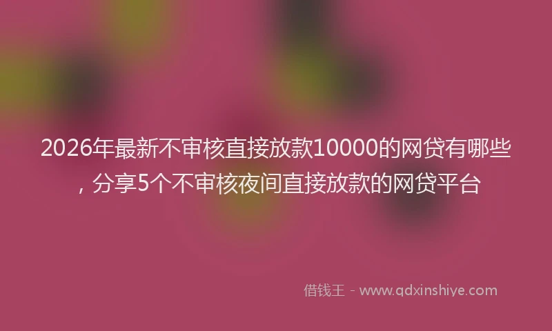 2026年最新不审核直接放款10000的网贷有哪些,分享5个不审核夜间直接放款的网贷平台