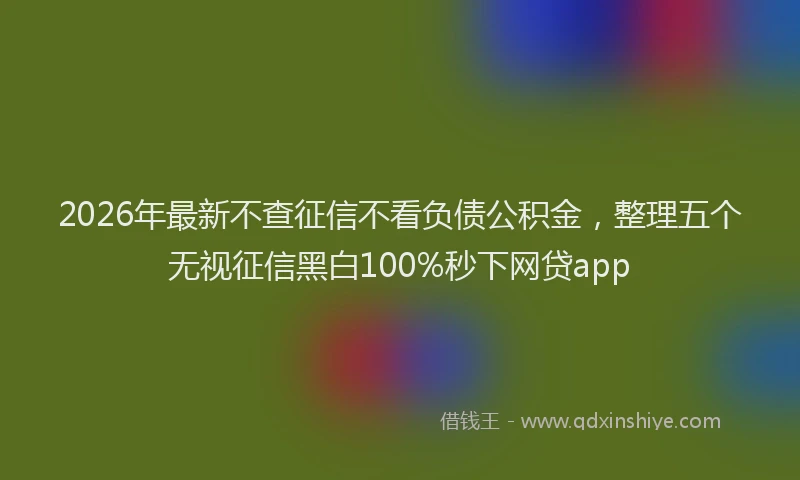 2026年最新不查征信不看负债公积金,整理五个无视征信黑白100%秒下网贷app