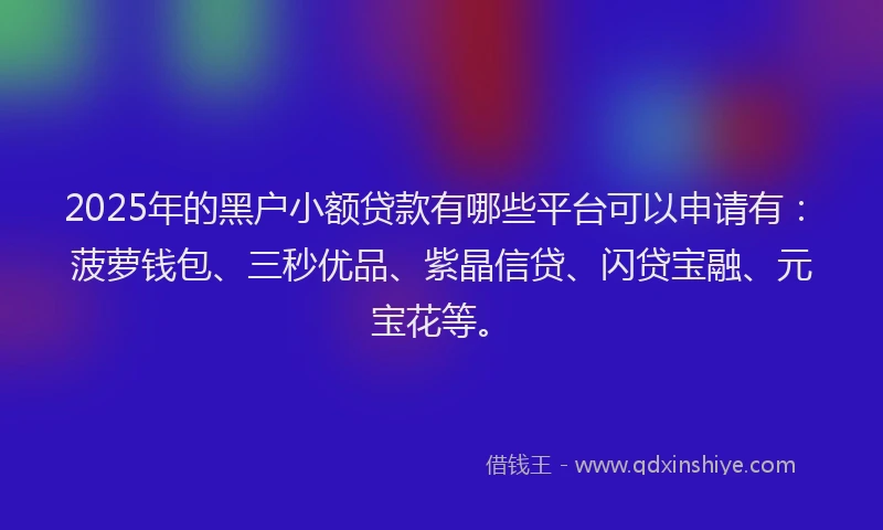 2025年的黑户小额贷款有哪些平台可以申请有：菠萝钱包、三秒优品、紫晶信贷、闪贷宝融、元宝花等。