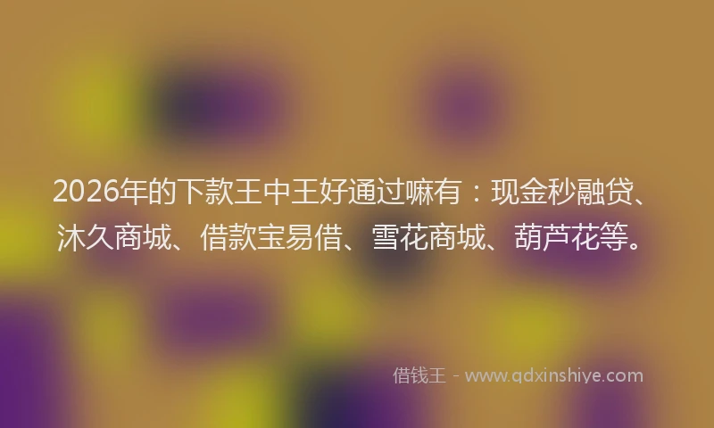 2026年的下款王中王好通过嘛有：现金秒融贷、沐久商城、借款宝易借、雪花商城、葫芦花等。