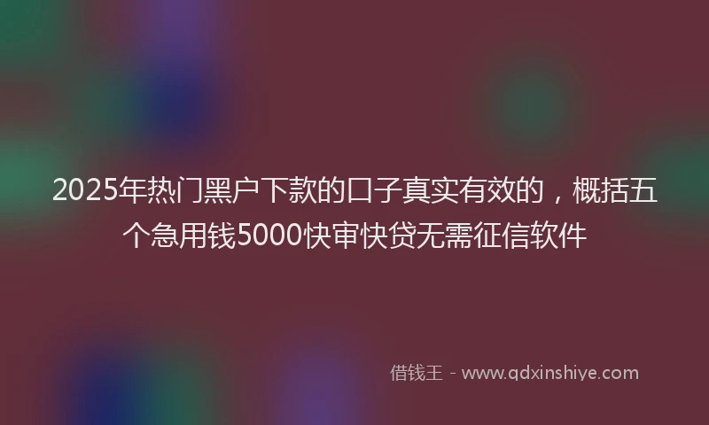 2025年热门黑户下款的口子真实有效的，概括五个急用钱5000快审快贷无需征信软件