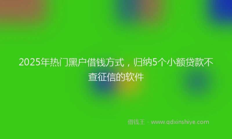 2025年热门黑户借钱方式，归纳5个小额贷款不查征信的软件