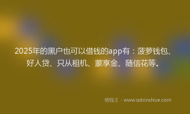 2025年的黑户也可以借钱的app有：菠萝钱包、好人贷、只从租机、蒙享金、随信花等。