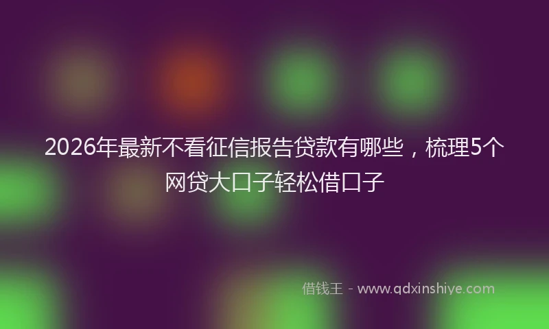 2026年最新不看征信报告贷款有哪些，梳理5个网贷大口子轻松借口子