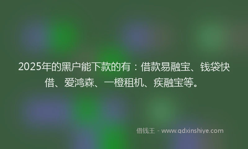 2025年的黑户能下款的有:借款易融宝、钱袋快借、爱鸿森、一橙租机、疾融宝等。