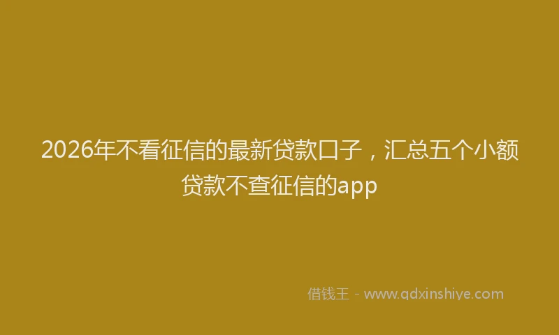 2026年不看征信的最新贷款口子，汇总五个小额贷款不查征信的app