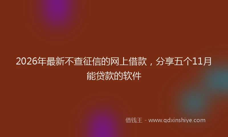 2026年最新不查征信的网上借款,分享五个11月能贷款的软件