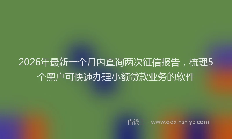 2026年最新一个月内查询两次征信报告，梳理5个黑户可快速办理小额贷款业务的软件