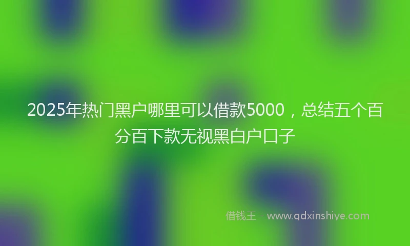 2025年热门黑户哪里可以借款5000，总结五个百分百下款无视黑白户口子