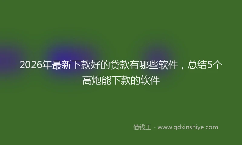 2026年最新下款好的贷款有哪些软件,总结5个高炮能下款的软件