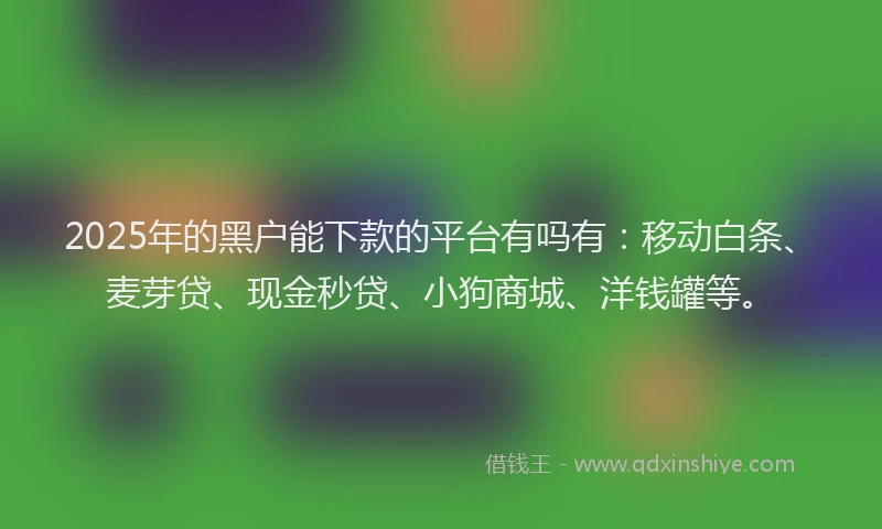 2025年的黑户能下款的平台有吗有：移动白条、麦芽贷、现金秒贷、小狗商城、洋钱罐等。