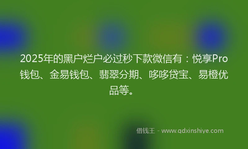 2025年的黑户烂户必过秒下款微信有:悦享Pro钱包、金易钱包、翡翠分期、哆哆贷宝、易橙优品等。