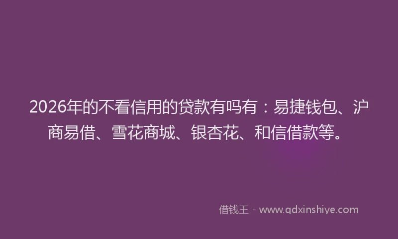 2026年的不看信用的贷款有吗有：易捷钱包、沪商易借、雪花商城、银杏花、和信借款等。
