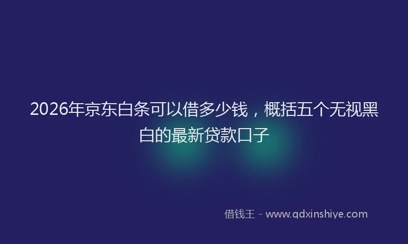 2026年京东白条可以借多少钱，概括五个无视黑白的最新贷款口子