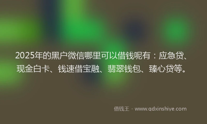 2025年的黑户微信哪里可以借钱呢有：应急贷、现金白卡、钱速借宝融、翡翠钱包、臻心贷等。