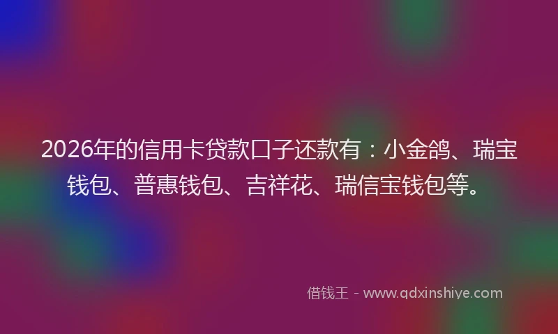 2026年的信用卡贷款口子还款有：小金鸽、瑞宝钱包、普惠钱包、吉祥花、瑞信宝钱包等。