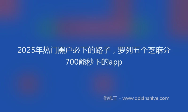 2025年热门黑户必下的路子,罗列五个芝麻分700能秒下的app