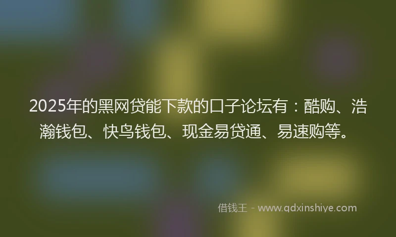 2025年的黑网贷能下款的口子论坛有：酷购、浩瀚钱包、快鸟钱包、现金易贷通、易速购等。