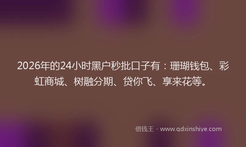2026年的24小时黑户秒批口子有:珊瑚钱包、彩虹商城、树融分期、贷你飞、享来花等。