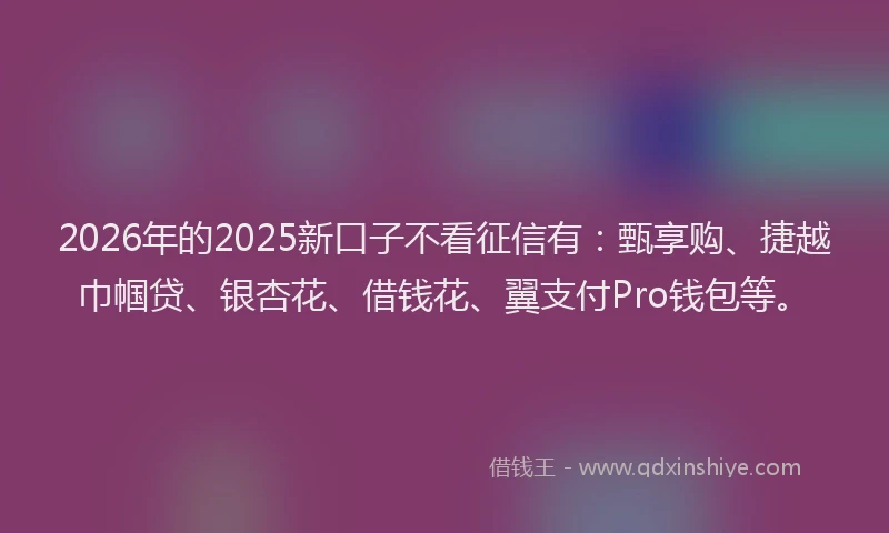 2026年的2025新口子不看征信有：甄享购、捷越巾帼贷、银杏花、借钱花、翼支付Pro钱包等。