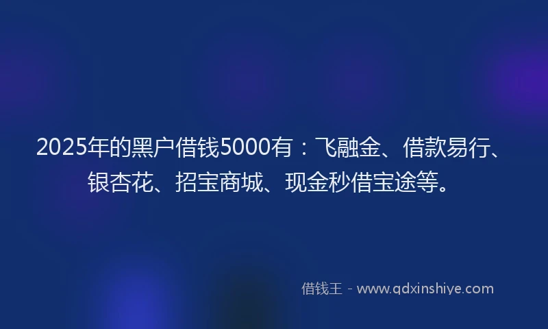 2025年的黑户借钱5000有：飞融金、借款易行、银杏花、招宝商城、现金秒借宝途等。