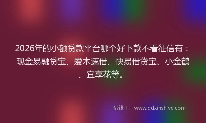 2026年的小额贷款平台哪个好下款不看征信有：现金易融贷宝、爱木速借、快易借贷宝、小金鹤、宜享花等。