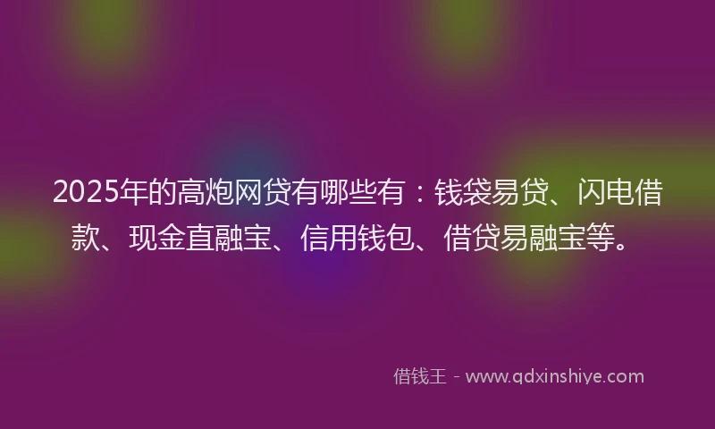 2025年的高炮网贷有哪些有:钱袋易贷、闪电借款、现金直融宝、信用钱包、借贷易融宝等。