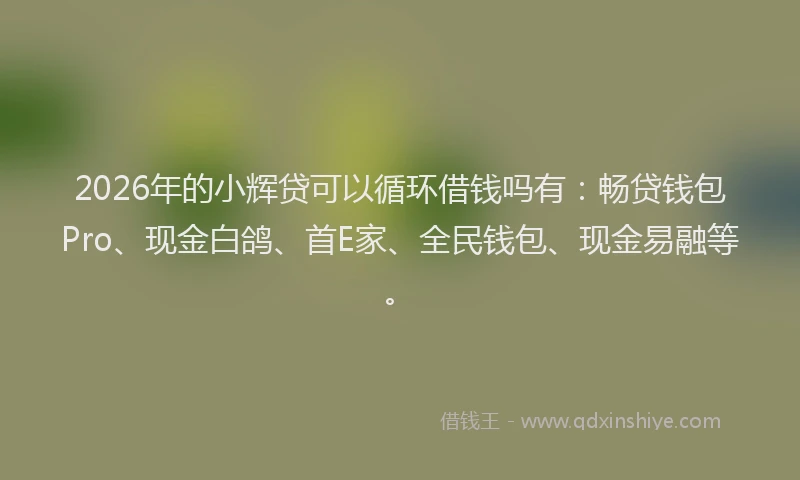 2026年的小辉贷可以循环借钱吗有：畅贷钱包Pro、现金白鸽、首E家、全民钱包、现金易融等。