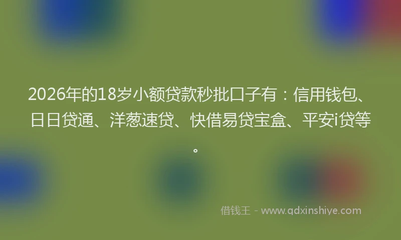 2026年的18岁小额贷款秒批口子有：信用钱包、日日贷通、洋葱速贷、快借易贷宝盒、平安i贷等。