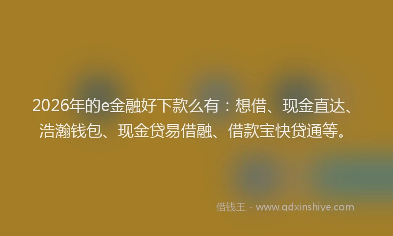 2026年的e金融好下款么有:想借、现金直达、浩瀚钱包、现金贷易借融、借款宝快贷通等。