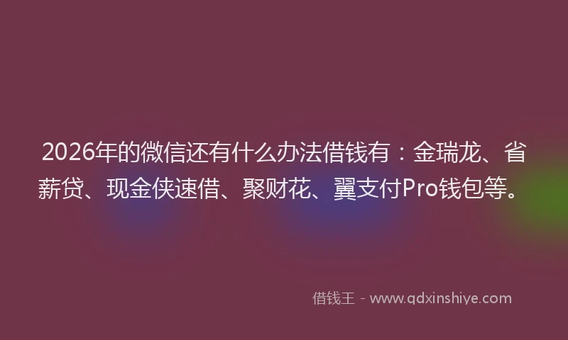 2026年的微信还有什么办法借钱有:金瑞龙、省薪贷、现金侠速借、聚财花、翼支付Pro钱包等。