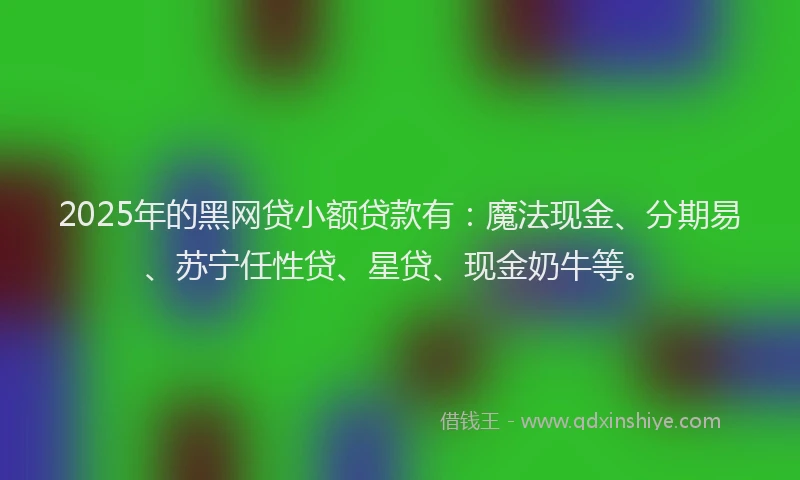 2025年的黑网贷小额贷款有：魔法现金、分期易、苏宁任性贷、星贷、现金奶牛等。