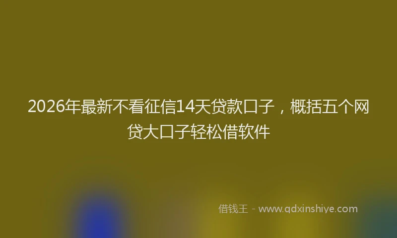2026年最新不看征信14天贷款口子，概括五个网贷大口子轻松借软件