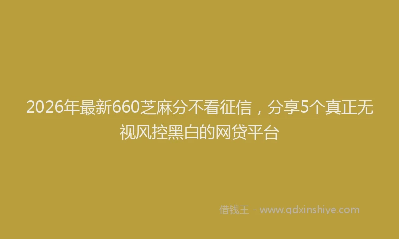2026年最新660芝麻分不看征信，分享5个真正无视风控黑白的网贷平台
