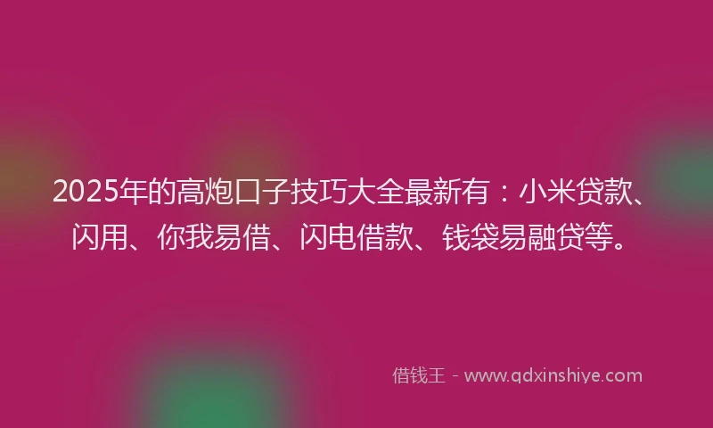 2025年的高炮口子技巧大全最新有：小米贷款、闪用、你我易借、闪电借款、钱袋易融贷等。