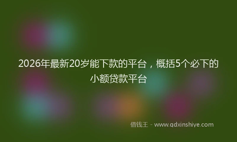 2026年最新20岁能下款的平台，概括5个必下的小额贷款平台
