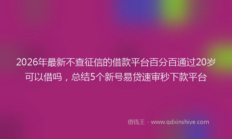 2026年最新不查征信的借款平台百分百通过20岁可以借吗，总结5个新号易贷速审秒下款平台
