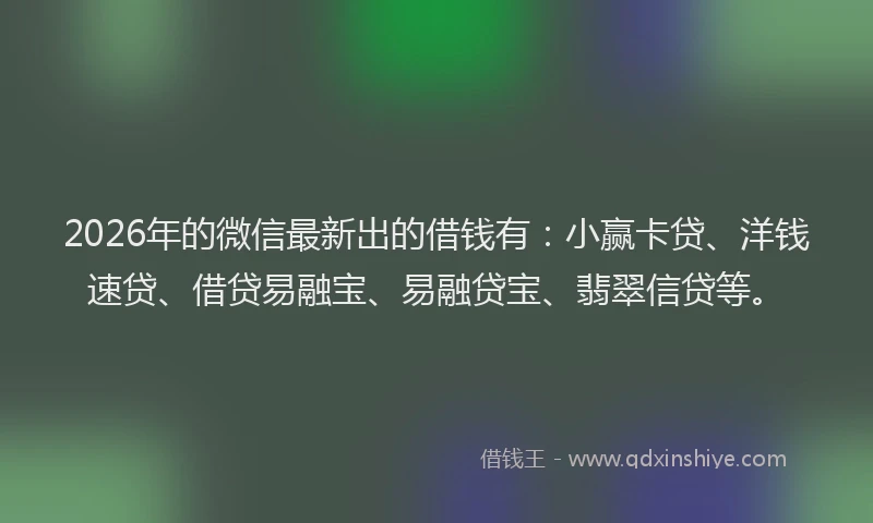 2026年的微信最新出的借钱有：小赢卡贷、洋钱速贷、借贷易融宝、易融贷宝、翡翠信贷等。